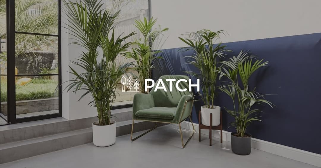 Patch case study