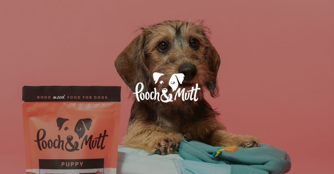 Pooch & Mutt case study